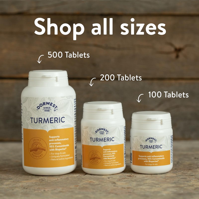 Dorwest Turmeric Tablets for Dogs and Cats, 100 Tablets, Easy-To-Absorb