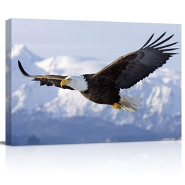 Canvas Wall Art - Flying Eagle Pictures - Modern Wall Decor Gallery Canvas Wraps Giclee Print Stretched and Framed Ready to Hang - 12" x 16"