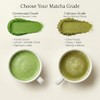 ViridWorks Organic Matcha Single Serve Sticks - 30 Pack