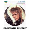 Labyrinth Goblin King Crystal Ball David Bowie Jareth Automotive Car
