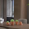 Fcacti 3.5 Inch Terracotta Shallow Succulent Pot - 12 Pack