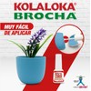 Kola Loka y Plastiloka