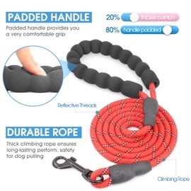 BAAPET 2/4/5/6 FT Dog Leash with Comfortable Padded Handle and Highly Reflective Threads for Small Medium and Large Dogs (5FT-1/3'', Red)