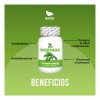 Moringa Premium 100 Cápsulas | Regula Azúcar, Reduce Colesterol y