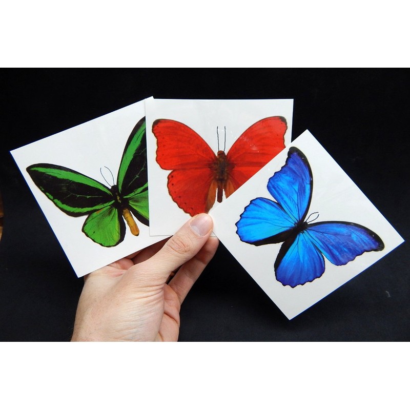 Large Butterfly Temporary Tattoos by Butterfly Utopia (6 Sheets)