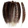 THARAHT 24pcs Natural Wild Turkey Wing Feathers Quill Bulk 10-12inch
