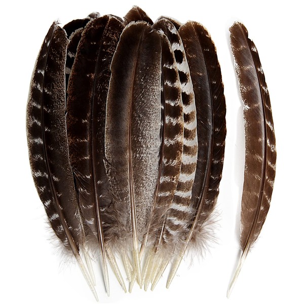 THARAHT 24pcs Natural Wild Turkey Wing Feathers Quill Bulk 10-12inch