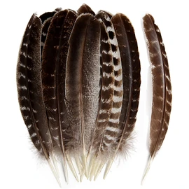 THARAHT 24pcs Natural Wild Turkey Wing Feathers Quill Bulk 10-12inch 25-30cm for DIY Crafts Project Collection Wedding Decoration Wild Turkey Tails Feather