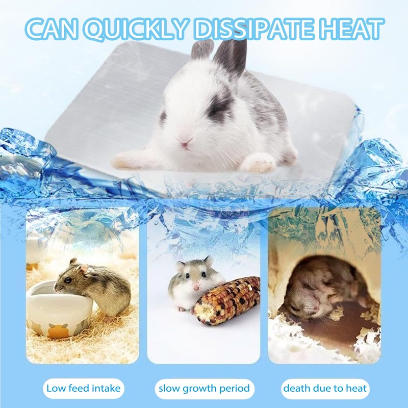 DAVBNM 2 PCS Rabbit Cooling Pad, 12 * 8cm Hamster