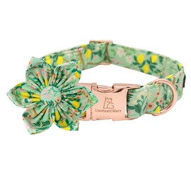 Lionheart Glory Dog Collar, Dog Collar with Flower, Cute Lemon Floral Pattern Pet Collar Adjustable Dog Collar for Large Dogs