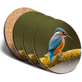 Destination Vinyl ltd Great Coasters (Set of 4) Round - Kingfisher Bird Drink Glossy Coasters/Tabletop Protection for Any Table Type #15668