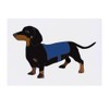 'Black & Tan Dachshund' Temporary Tattoo - Water Resistant, Skin-Safe,