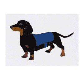 'Black & Tan Dachshund' Temporary Tattoo - Water Resistant, Skin-Safe, Non-Toxic Transfer (TO00034770)
