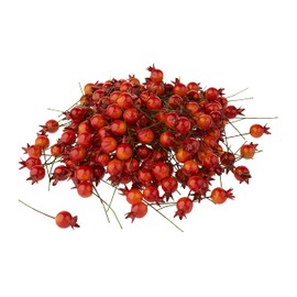 200 Decorative Hagebuten Berren on Wire Orange Florist Craft Your Own Wreath Decoration Wreath DIY VBS Wholesale Pack