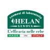 Helan Cream Night Rinormalizzante 50ml Line Face No.1