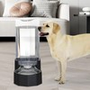 Sfozstra Automatic Pet Water Dispenser with Stainless Steel Bowl, Gravity