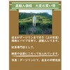 The Emperor's Summer Picked Darjeeling Tea Leaf, 2023 Second Flush