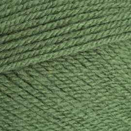Stylecraft Special DK Yarn- Cypress (1824)