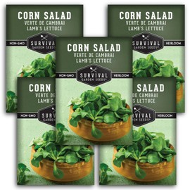 Corn Salad Verte de Cambrai Seeds for Planting - 5 Packets with Instructions to Plant and Grow Lamb's Lettuce or Mache in Your Home Vegetable Garden - Non-GMO, Heirloom Variety - Survival Garden Seeds