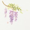 Daikoku Industry Japanese Table Mat, Wisteria 10.2 x Width 15.0