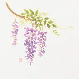 Daikoku Industry Japanese Table Mat, Wisteria 10.2 x Width 15.0 inches (26 x 38 cm), High Quality Paper, Placemat, Commercial Use, 100 Sheets