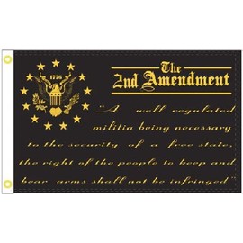 Ant Enterprises 3x5 2ND AMENDMENT A WELL REGULATED MILITIA BLACK Flag Grommets 100D