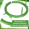 Kopinma Set of 4 Automatic Watering Plants Water Rings, Drip