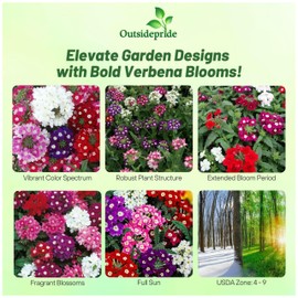 Outsidepride Mammoth Mix Verbena Seeds for Planting - 2000 Pcs. Annual, Drought Tolerant & Easy to Grow, Ground Cover with Fragrant & Vibrant Blooms for Containers, Borders & Pollinator Gardens