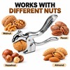 Stainless Steel Squirrel Nutcracker Tool – Multifunctional Handheld Nut Shell
