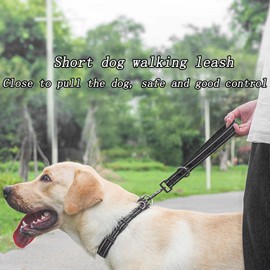 WJXFHTD 1PCS Leash for Medium Dogs No Chew Glow-in-The-Dark Dog Leash Heavy Duty Dog Leash Dog Leash for Small Dogs with Light (Black Short)