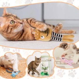YIMOCHEN Plush Catnip Toys Indoor Sounding Interactive Squeaky Cat Toys Cats Chew for Cleaning Teeth Cute Funny Style Keep Pet Busy and Not Boredom Teasers Funny Cute Birthday Gift for Cat(4PC)