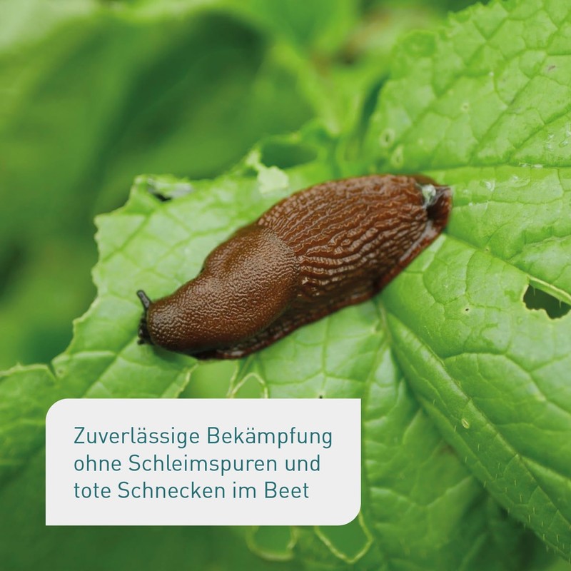 Plantura Organic Snail Grain Rainproof Power Agent Gentle on Pets