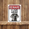 Shawprint BEWARE I LIVE HERE METAL GATE SIGN GREAT DANE