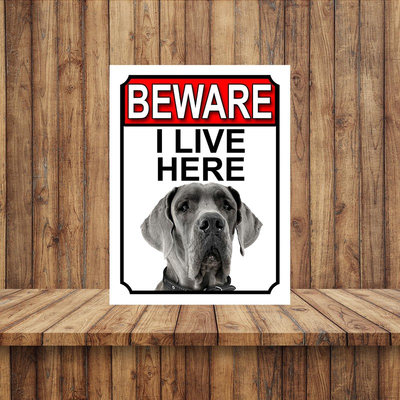 Shawprint BEWARE I LIVE HERE METAL GATE SIGN GREAT DANE