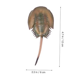 SUPVOX 1Set Horseshoe Crab Growth Cycle Model Funny Animal Display for Education Realistic Home Desktop Decor Nature Lovers