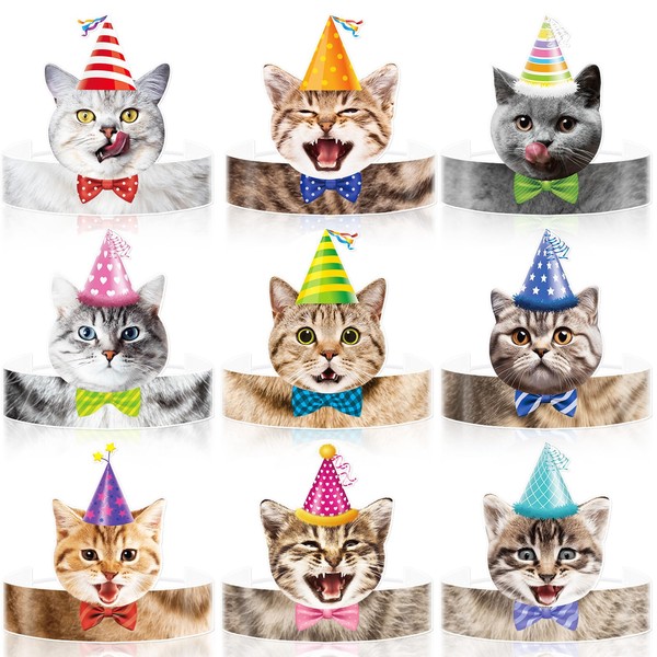 Oitnlaughter 24 Pcs Cat Birthday Party Hats Cats Theme Party