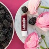Labello Lip Balms Set, 1x Cherry With 1x Blackberry Lip
