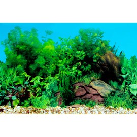 LENDAWAY New Undersea Coral, Seaweed Background Aquarium Background Decoration 25 x 15（inch）