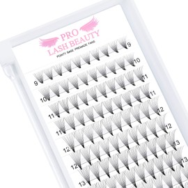 Ready-to-Use Eyelash Fans, 10D-C-0.07-9, Lace Base, Ready-to-Use Fan Eyelash Extensions, Pointy Base, 0.07 0.10, Eyelash Extension, C D Eyelash Volume Technology, 8-15 mm (10D-C-0.07, 9 mm)