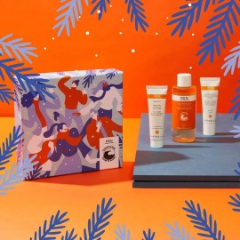 Ren Clean Skincare Tónico, Crema, Mascar Travel Kit 3 Piezas