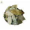 East Java® Freshly Dried Soursop Leaves (Annona Muricata) 400 Leaves
