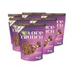 Love Crunch Organic Dark Chocolate & Hazelnut Butter Granola, 10.6