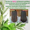 P-Beauty Rosmarin Minze Shampoo, mit Biotin 355ml - stärkendes Haarshampoo