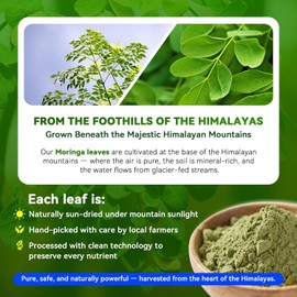 Moringa Capsules 1000mg – High Potency 10:1 Leaf Extract – Energy, Sleep, Immune & Gut Health Support – Vegan, Non-GMO – 60 Veg Capsules, Made in USA (60 Count (Pack of 1))