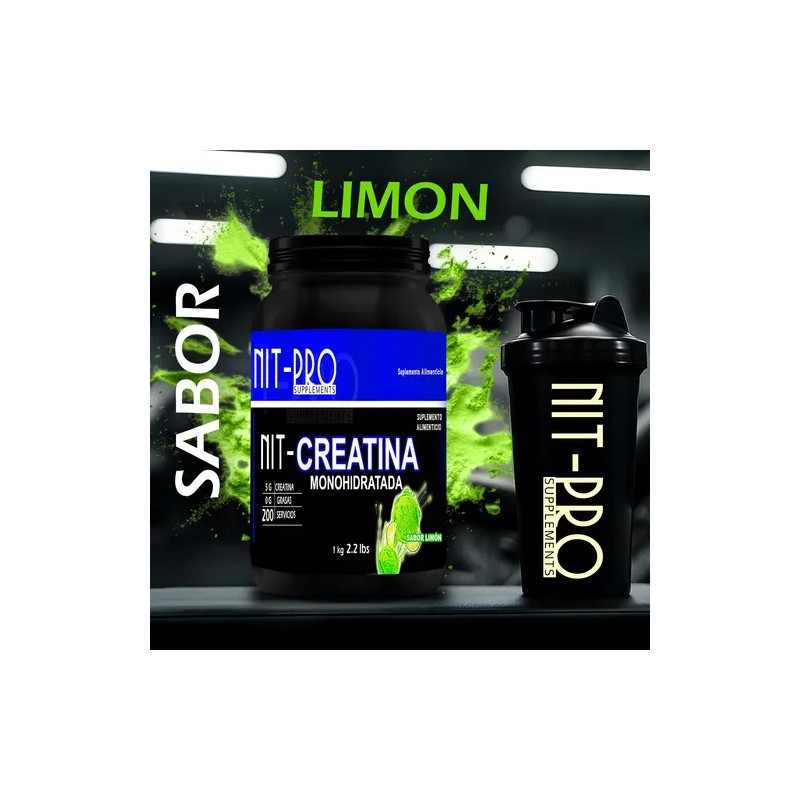 Creatina Monohidratada En Polvo 1kg Nit-pro Varios Sabores