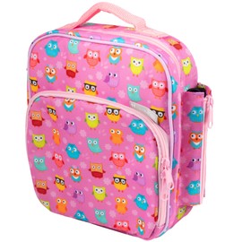 Insulated Durable Lunch Bag - Reusable Meal Tote with Handle and Pockets - Owl