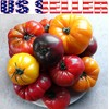 This is A Mix 30 Rainbow Deluxe Tomato Seeds Mix