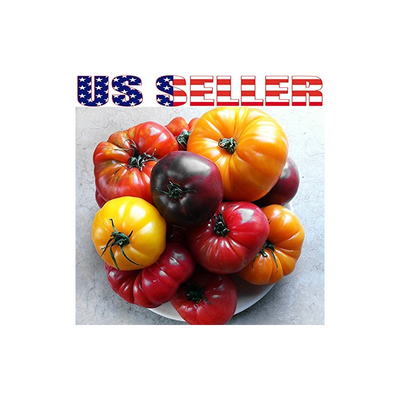 This is A Mix 30 Rainbow Deluxe Tomato Seeds Mix