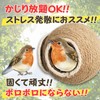 Leap Raupe Bird Nest Bird Tent Birdhouse Summer Bunting Birds