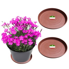 Little Bear Peak Round Composite Plant Saucer/Tray 2-Pack - 60% Recycled Plastics & 40% Stone/Wood Powder. Heavy-Duty Water Catcher to Save Your Floors, Water Flowers & 100% end of Life Recyclable